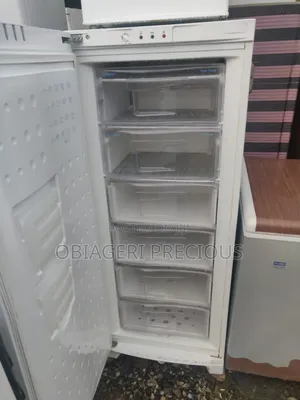 Standing Freezer