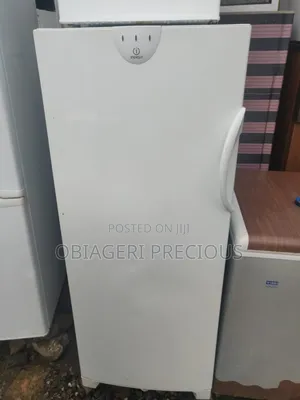 Standing Freezer