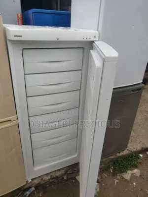 Standing Freezer