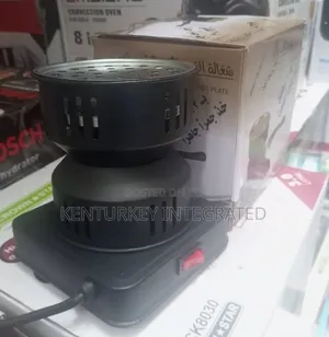 Electric Charcoal Starter Hot Plate Cooker