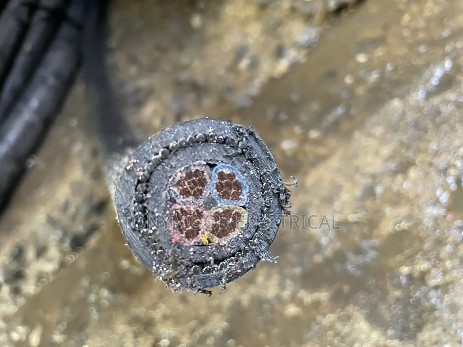 25mmx4core Armored Cable