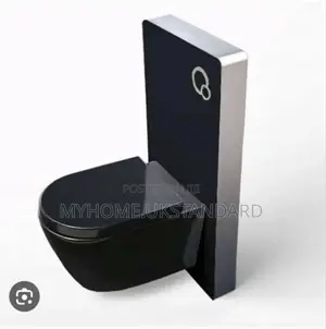 Black Concealed Wc With Surface Tank.