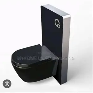 Black Concealed Wc With Surface Tank.