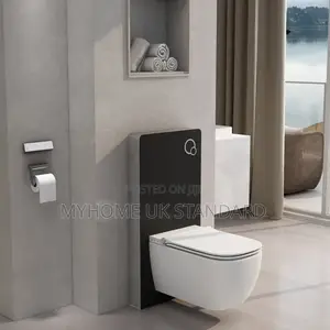 Concealed Wc With Surface Tank.