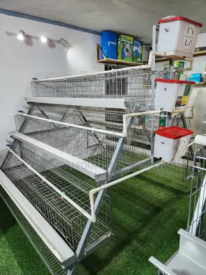 Premium Imported 120 Birds Capacity Cage,Day Old Chicks