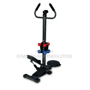 Standing Stepper With Twister 563