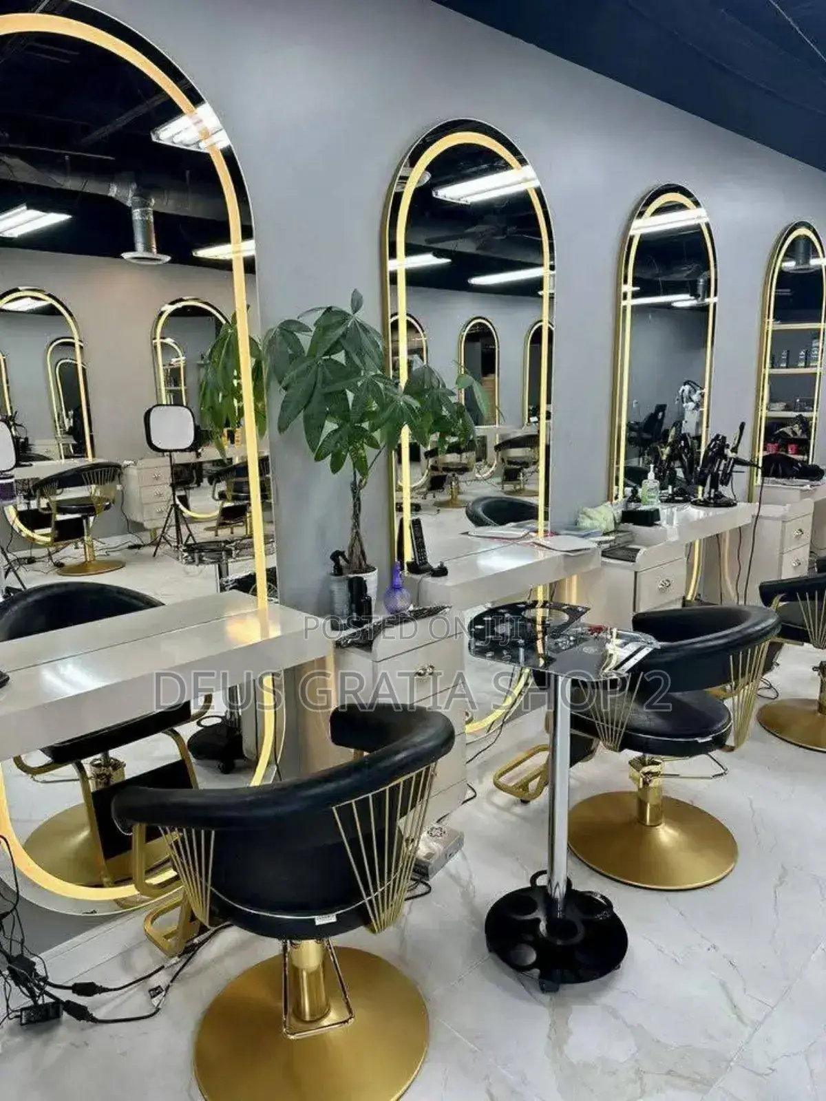 Luxury Saloon Chair
