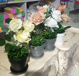 Beautiful Bloom Flower