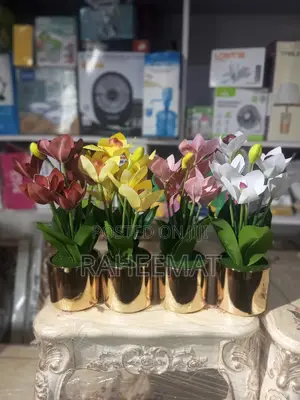 Pure Elegance Flower