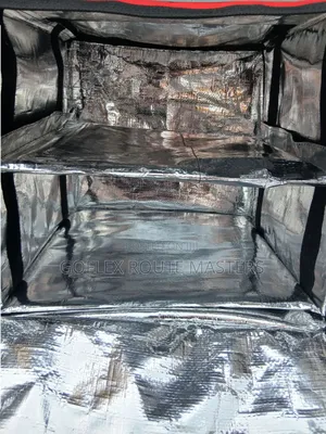 Portable Insulated Delivery Bag