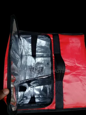 Portable Insulated Delivery Bag