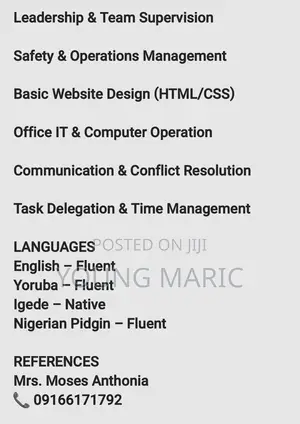 Hotel Accountant
