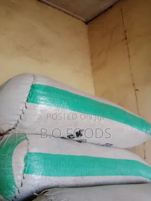 White Beans(Iron Beans)Is Available in Bags and Paint