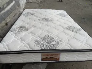 5by6 10inches Spring Bed