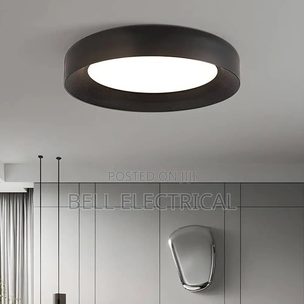 Minimalist Vortex Pattern Ceiling Light