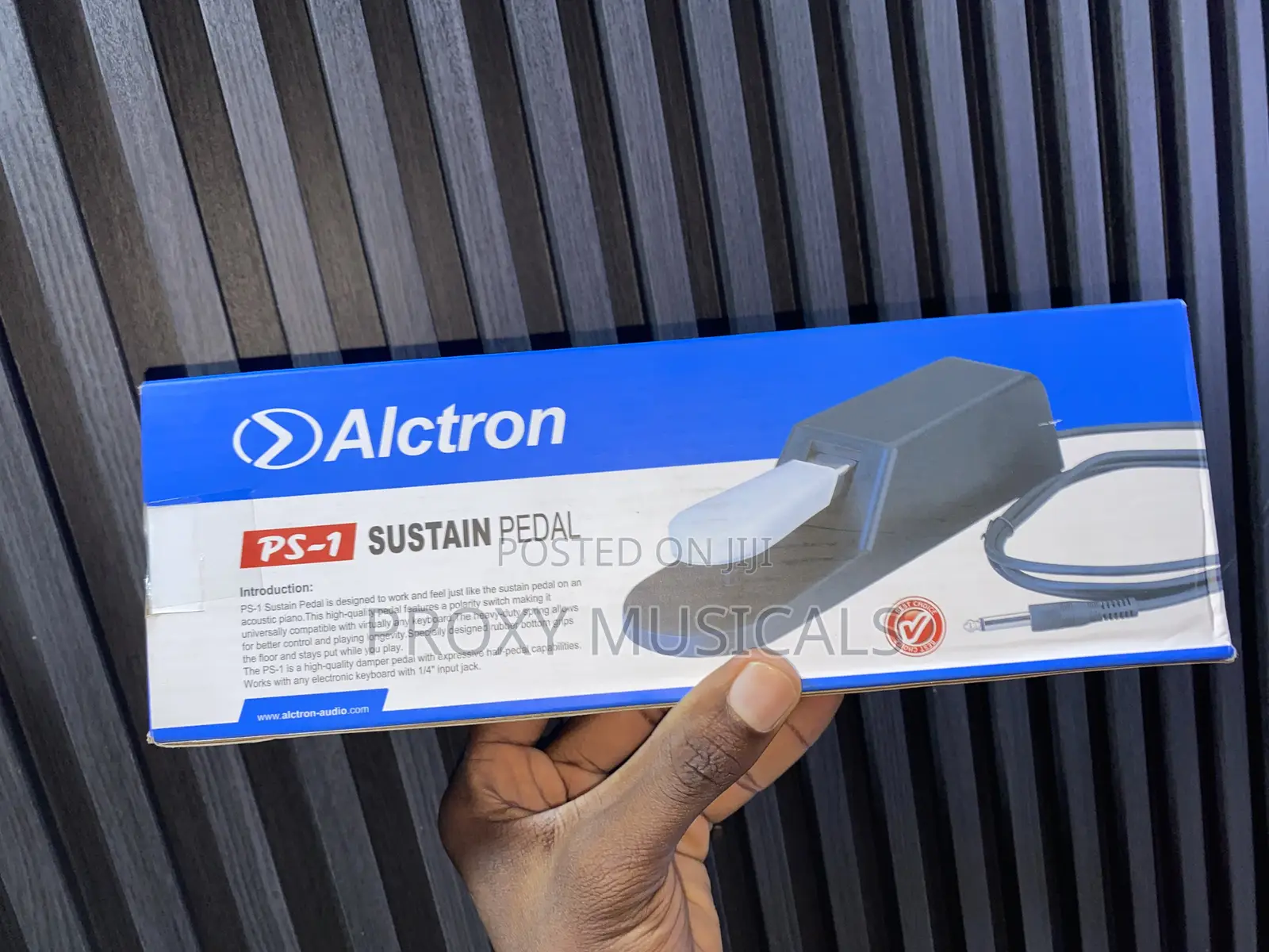 Alctron Sustain Pedal Ps-1