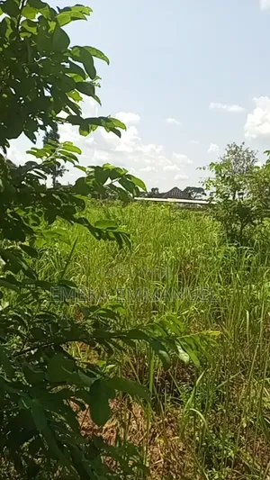 1 Plot of Land for Sale at Amansea