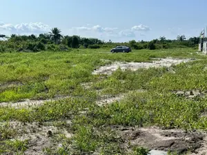 Genuine Dry Land