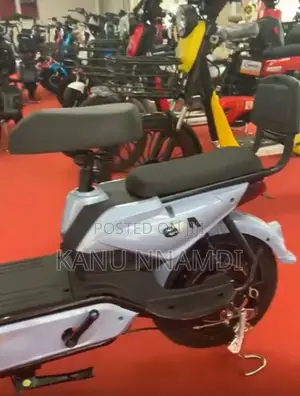 Electric Bike