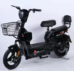 Electric Bike