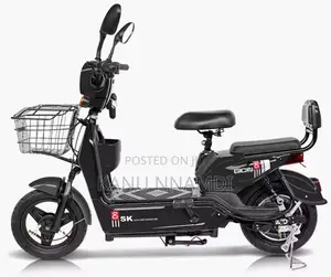 Electric Bike