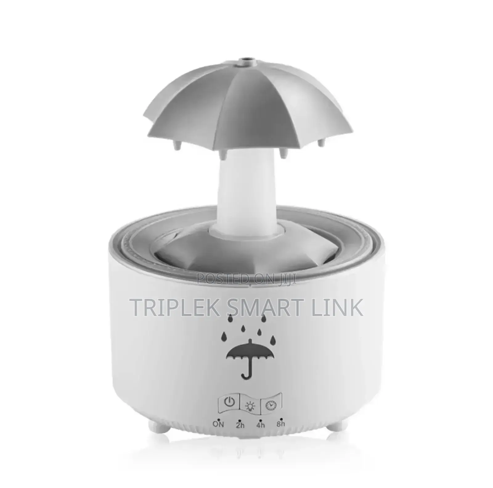 Rain Cloud Humidifier Water Aroma Diffuser With Timer Remote Control