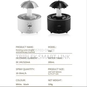 Rain Cloud Humidifier Water Aroma Diffuser With Timer Remote Control