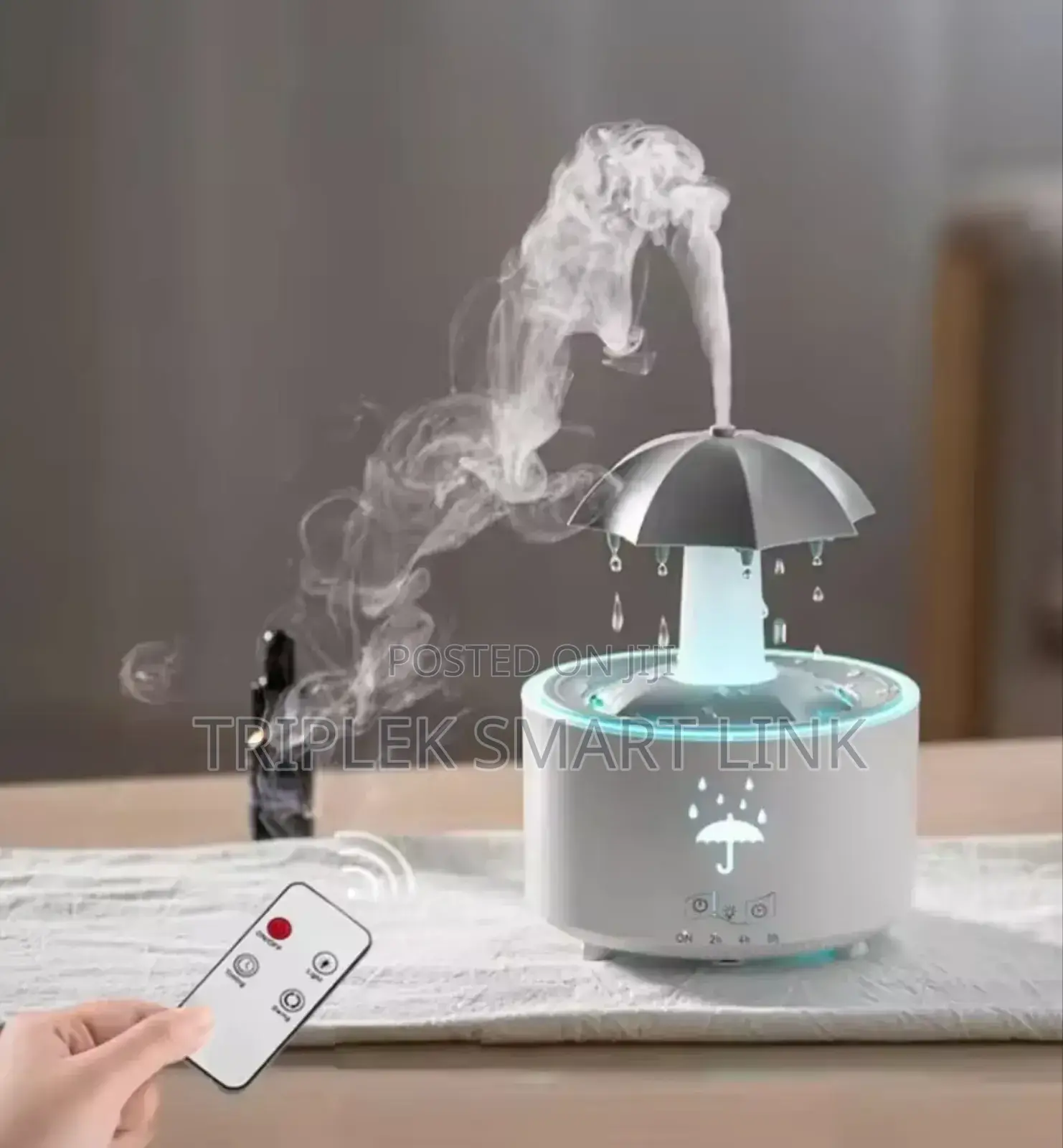 Rain Cloud Humidifier Water Aroma Diffuser With Timer Remote Control