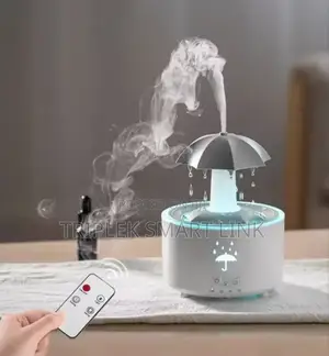 Rain Cloud Humidifier Water Aroma Diffuser With Timer Remote Control