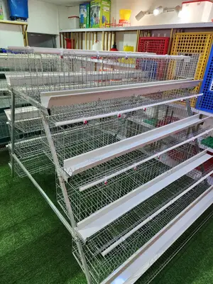Main Poultry Equipment Dealer In Abuja