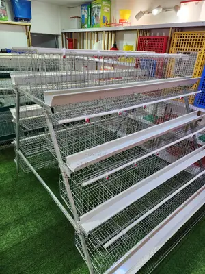 120 Layers Cages Imported Layers Cage ,We Sell Indian Drinkers