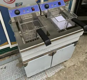 Commercial Standing Gas Deep Fryer Double Tank