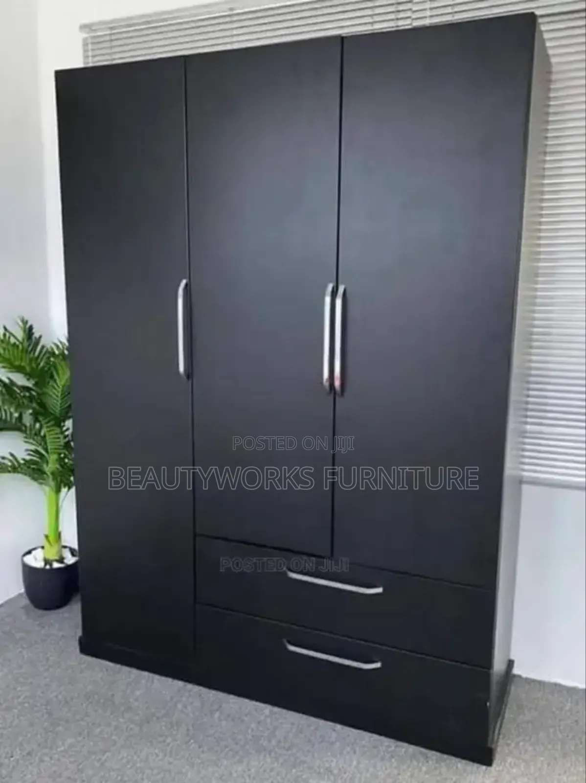 Wardrobe and Shelves