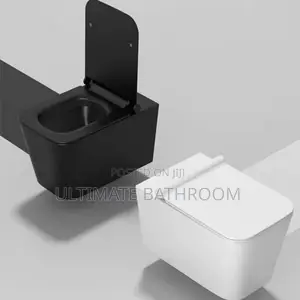 Wall Mounted Ideal England 🏴󠁧󠁢󠁥󠁮󠁧󠁿 Watercloset