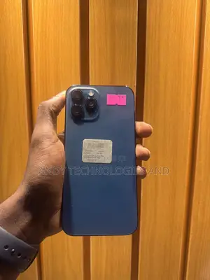 Apple iPhone 12 Pro Max 256 GB Blue