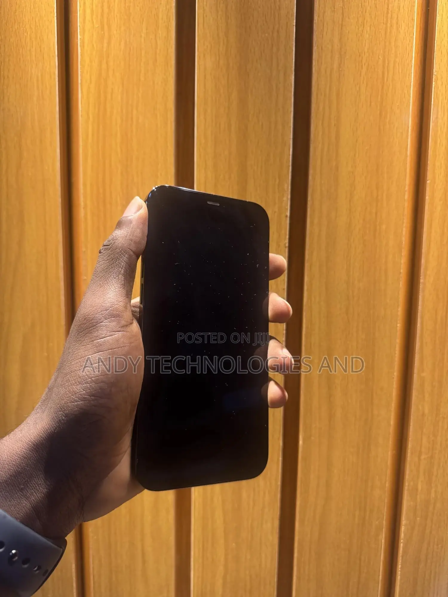 Apple iPhone 12 Pro Max 256 GB Blue