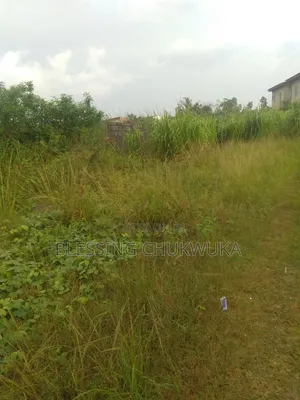Two Plot of Land in Happyland Estate