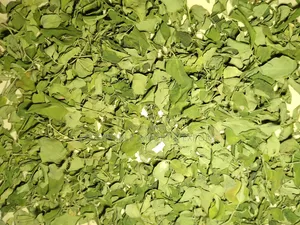 Moringa Leaves 1kg