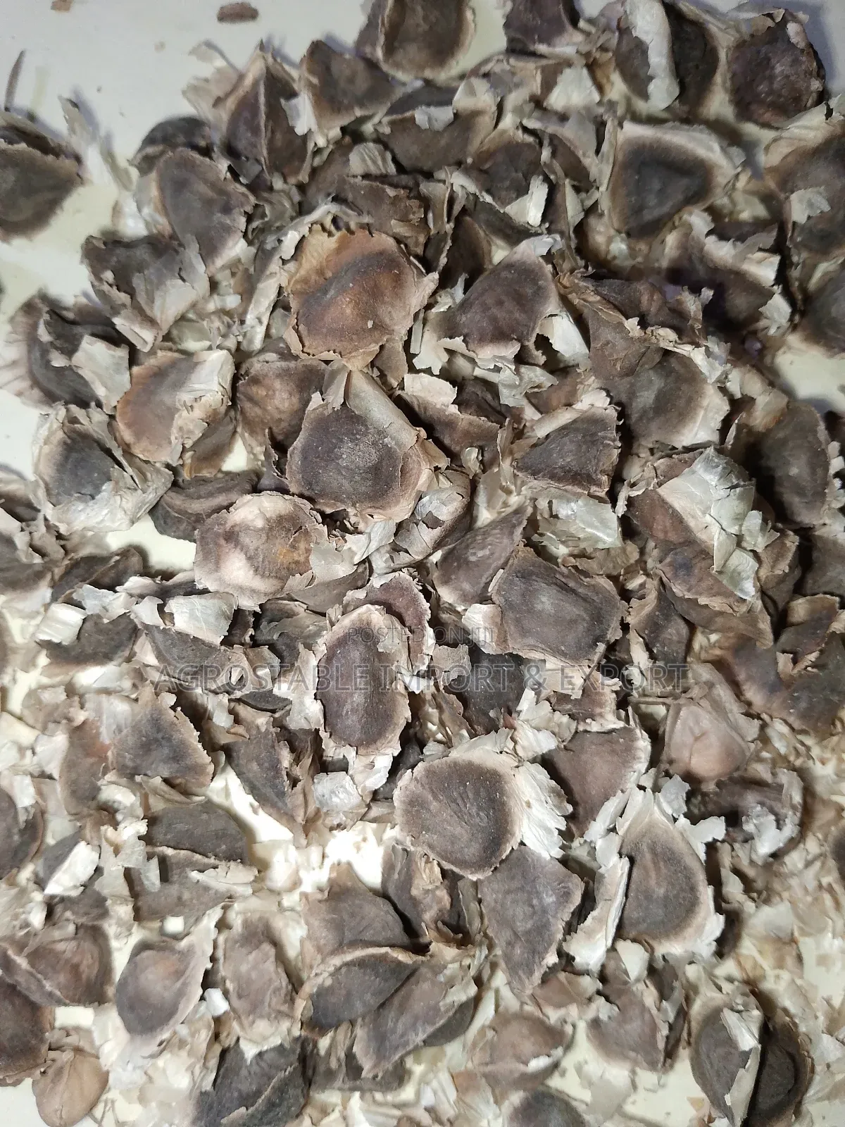 Moringa Seeds