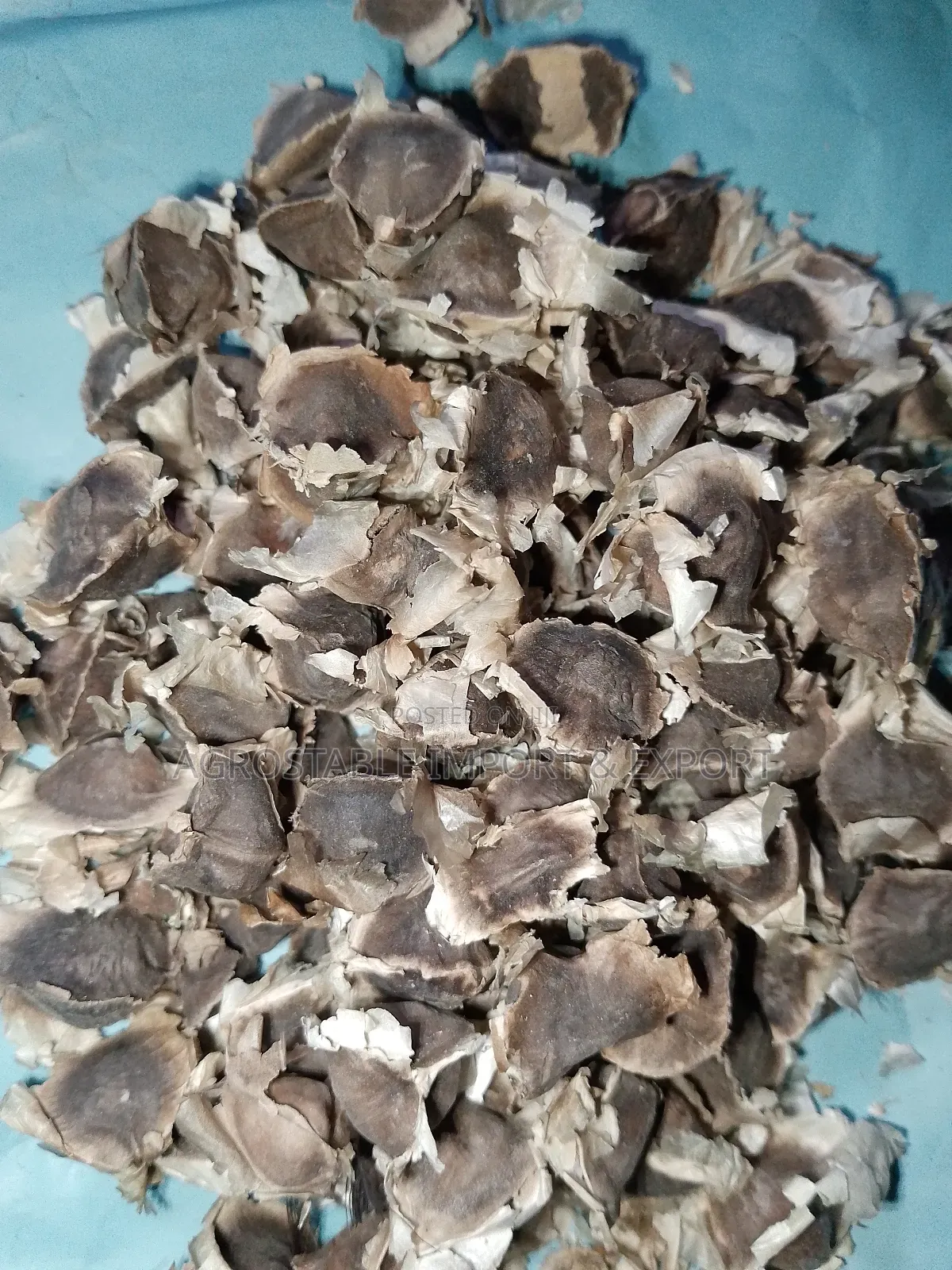 Moringa Seeds