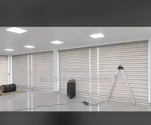 Pure White Day Night Blinds