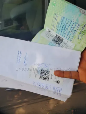 Kazakhstan Business and Work Visa