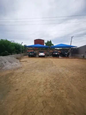 Everclean Auto Wash Relaxing