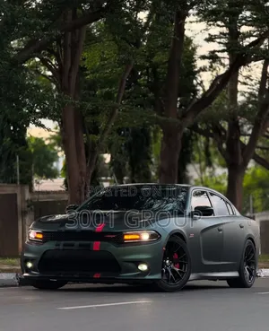 Dodge Charger 2017 Gray