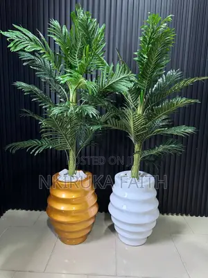 Ring Pot With Palm Plant