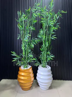 Ring Pot With Bamboo