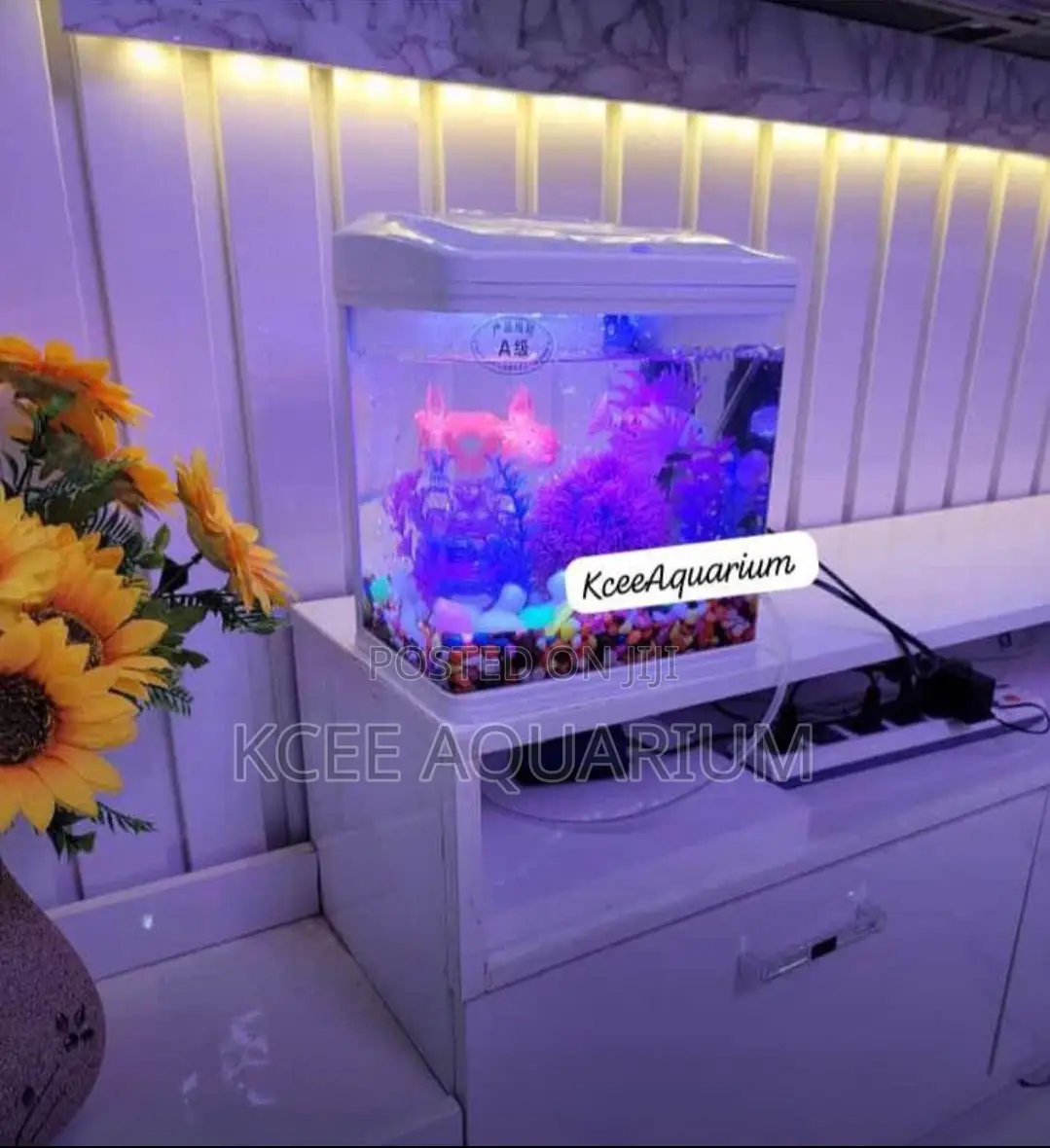 15 Litres Aquarium