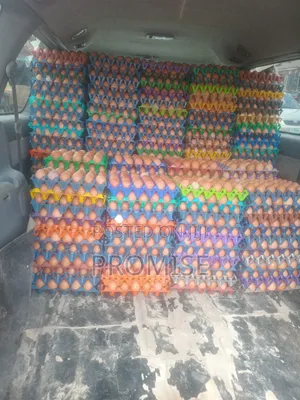 Fresh Farm Egg