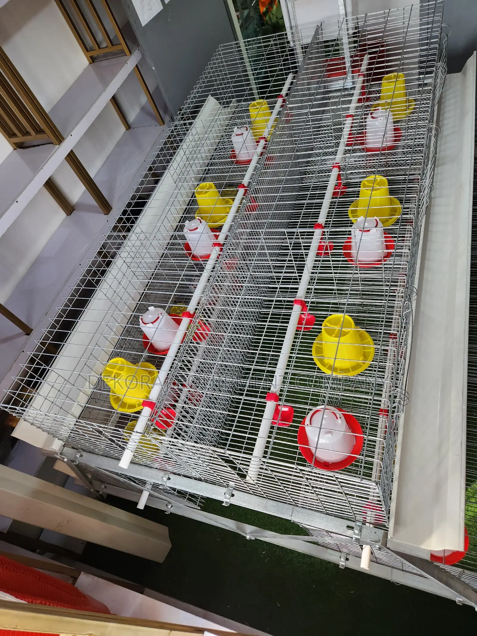 300 Birds Imported Brooding Cage – Make Money Brooding Bird