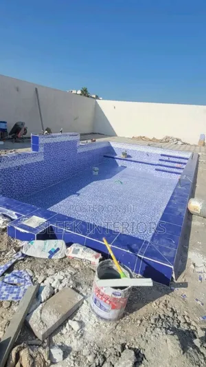 Swimming Pool Professional